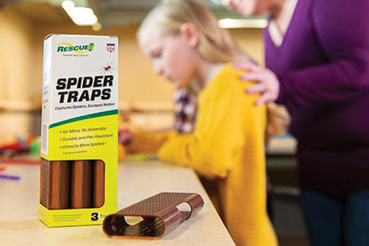Spider traps ad